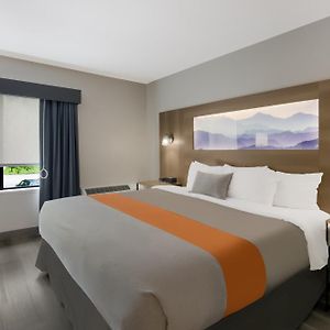 King Room Roll Shower Disability Access or Non Smoking